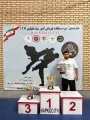 کسب مقام دوم توسط دانشجوی آموزشکده ملی مهارت شهید جباریان در مسابقات قهرمانی سبک هاپکیدو
